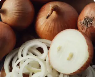 Premium White Onion for Export