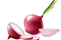 realistic-red-onion-composition-with-fresh-slices-unpeeled-bulb-with-green-sprouts-transparent-background-vector-illustration