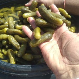 SMALL WHOLE FERMENTED